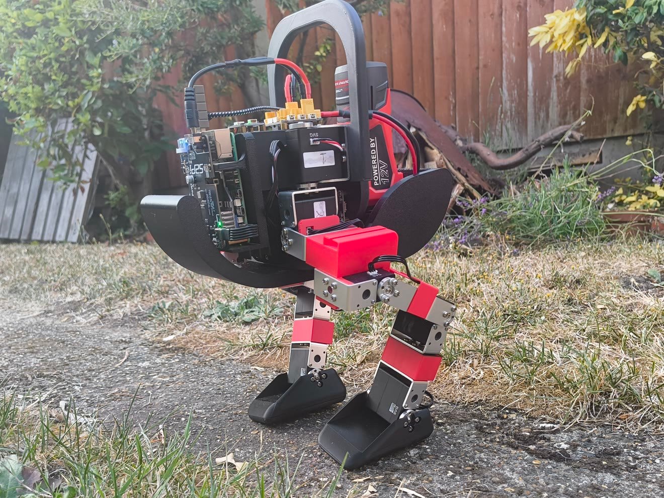 Duck Mini Pro Headless standing outdoors